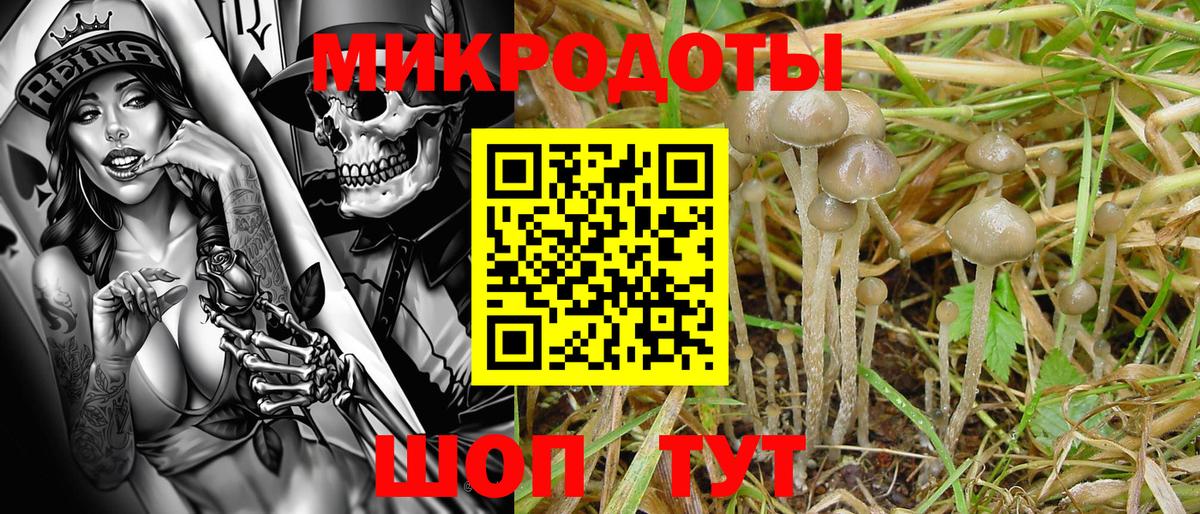 закладка  Галлюциногенные грибы Magic Shrooms  Вход с VPN  Туймазы 